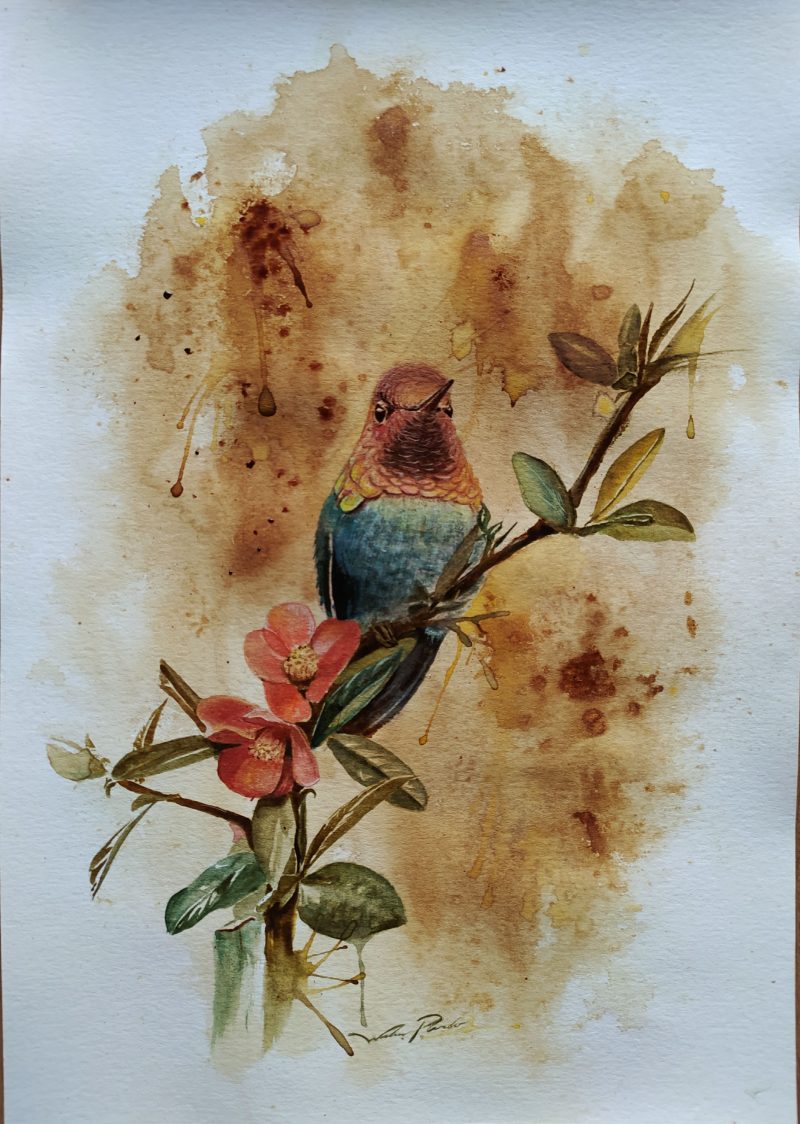 Cuadro Colibrí - Imagen 2